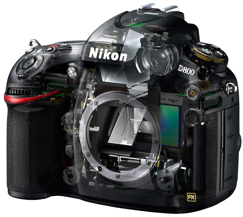 Ремонт цифровых фотоаппаратов nikon. Фотоаппарат Nikon d800. Nikon d800 body. Кроп на фотоаппарате Nikon. Nikon d3500.